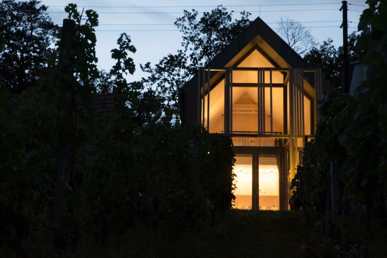 Weinlofts Weinloft II Villa Eisenberg an der Pinka ภายนอก รูปภาพ